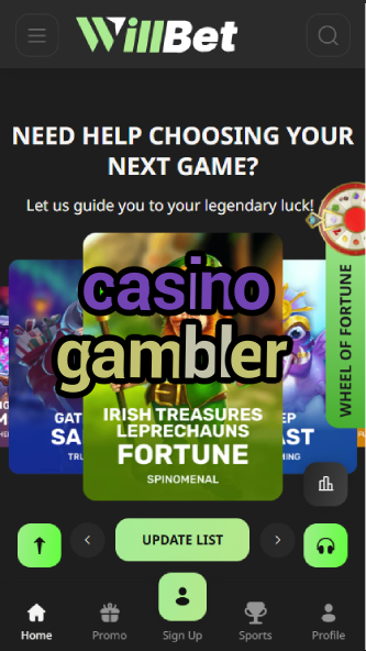 Casino Gambler - Professional Gambling Tips & Tricks-casinoorder.vip