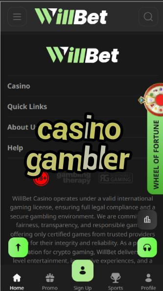 Casino Gambler - Professional Gambling Tips & Tricks-casinoorder.vip