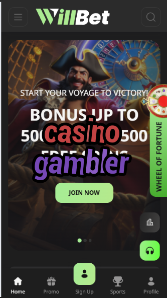 Casino Gambler - Professional Gambling Tips & Tricks-casinoorder.vip